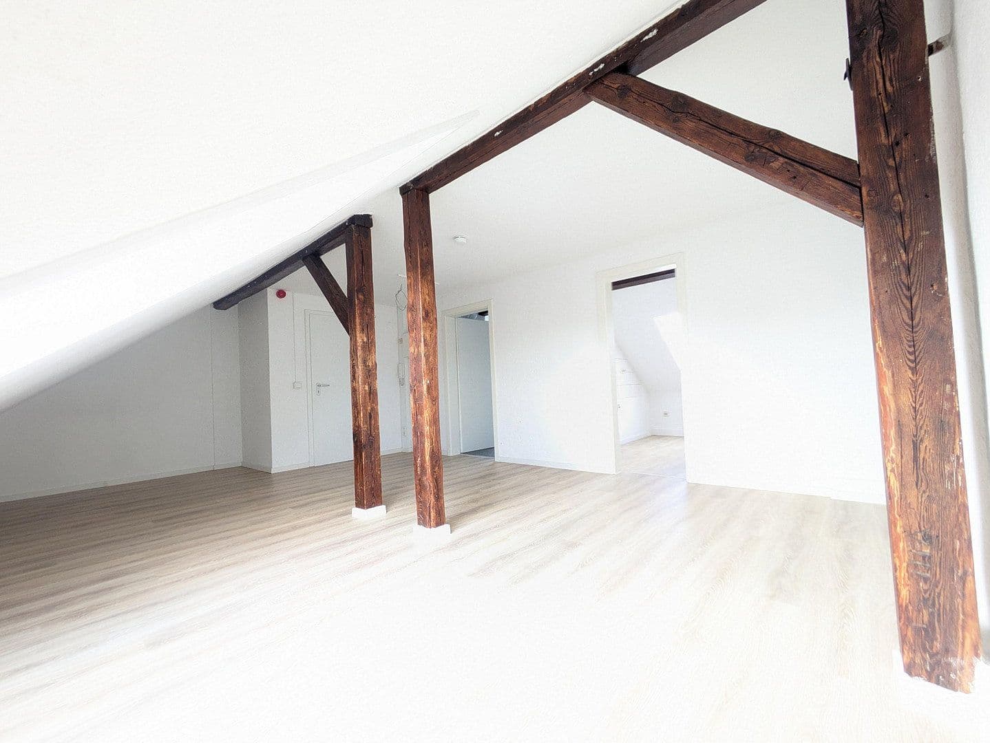 Prenájom bytu 1-izbový 39 m², Triftstr. 29, Halle, Sasko-Anhaltsko Prenájom bytu 1-izbový 39 m², Triftstr. 29, Halle, Sasko-Anhaltsko