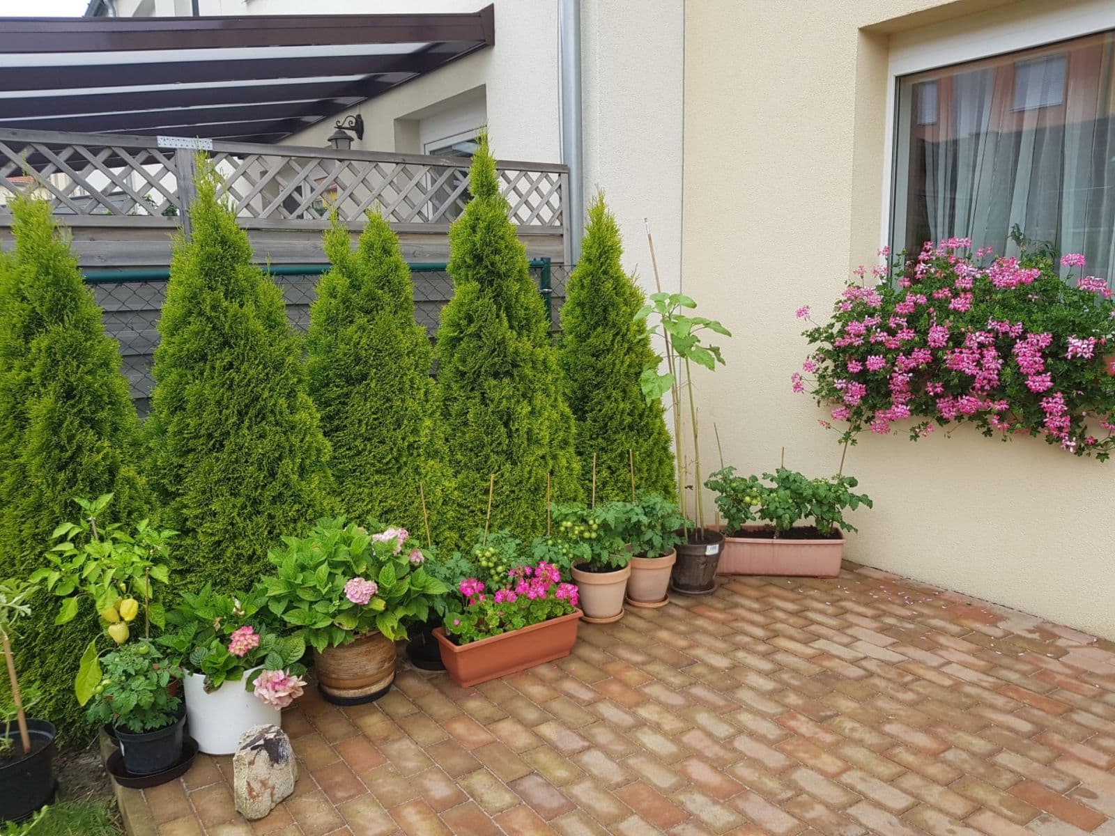 Prenájom domu 104 m², pozemok 190 m², Janáčkova, Jinočany, Středočeský kraj Prenájom domu 104 m², pozemok 190 m², Janáčkova, Jinočany, Středočeský kraj
