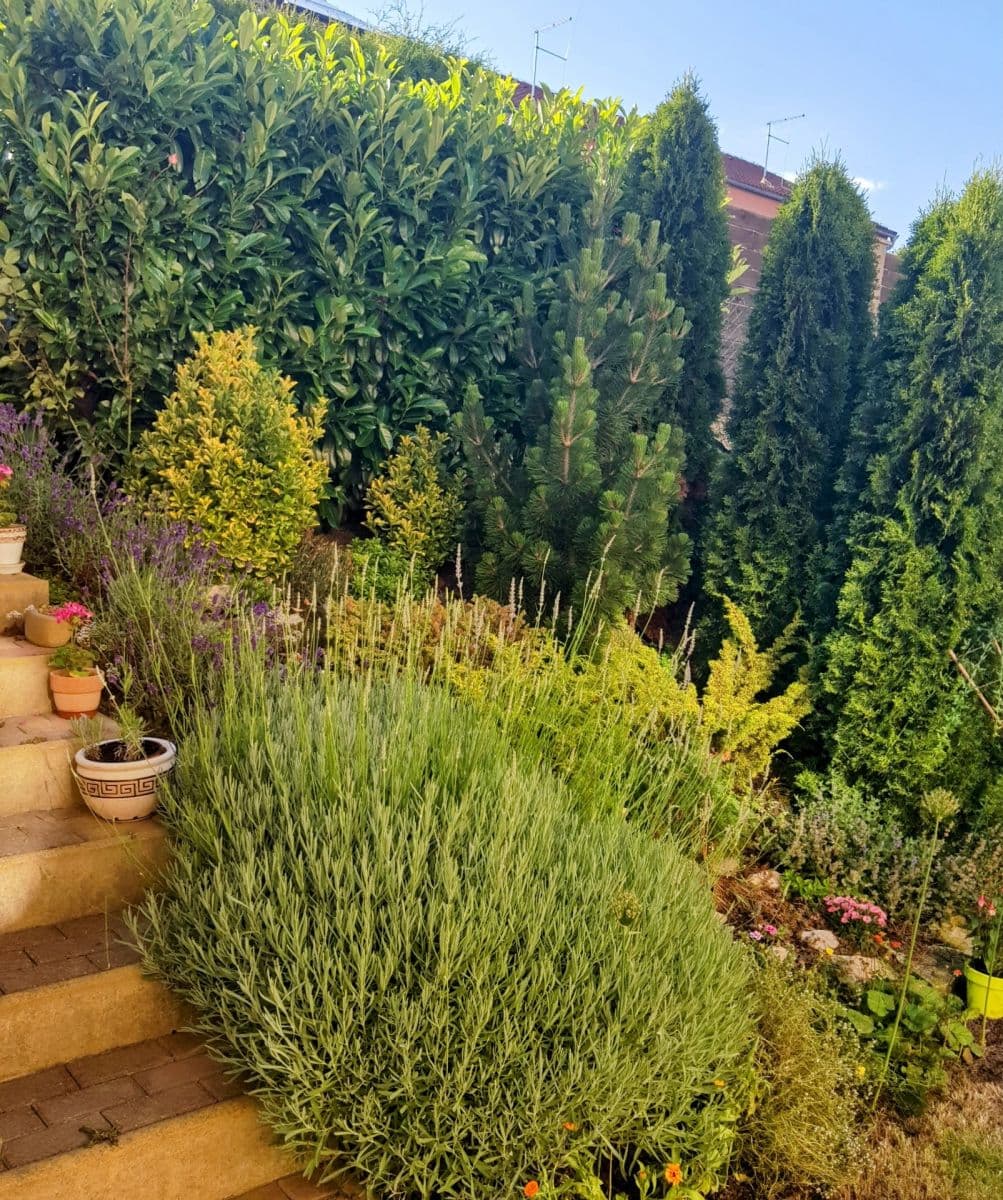 Prenájom domu 104 m², pozemok 190 m², Janáčkova, Jinočany, Středočeský kraj Prenájom domu 104 m², pozemok 190 m², Janáčkova, Jinočany, Středočeský kraj