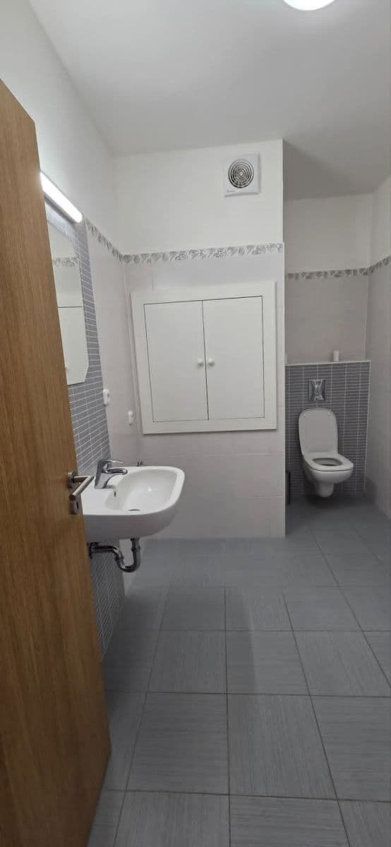 Prenájom bytu 1-izbový 33 m², Goldscheiderova, Plzeň, Plzeňský kraj Prenájom bytu 1-izbový 33 m², Goldscheiderova, Plzeň, Plzeňský kraj