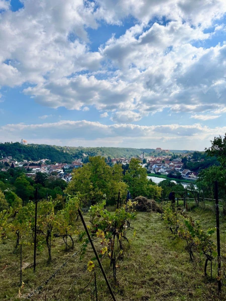 Predaj pozemku 3.055 m², Dolní Kounice, Jihomoravský kraj Predaj pozemku 3.055 m², Dolní Kounice, Jihomoravský kraj