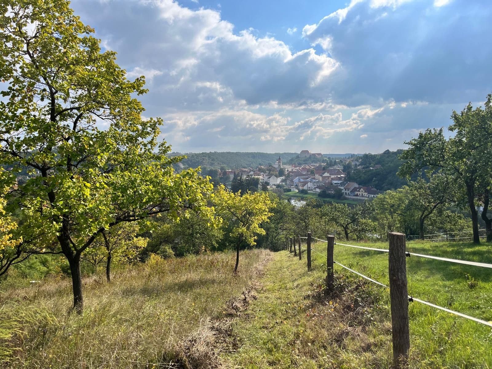 Predaj pozemku 3.055 m², Dolní Kounice, Jihomoravský kraj Predaj pozemku 3.055 m², Dolní Kounice, Jihomoravský kraj