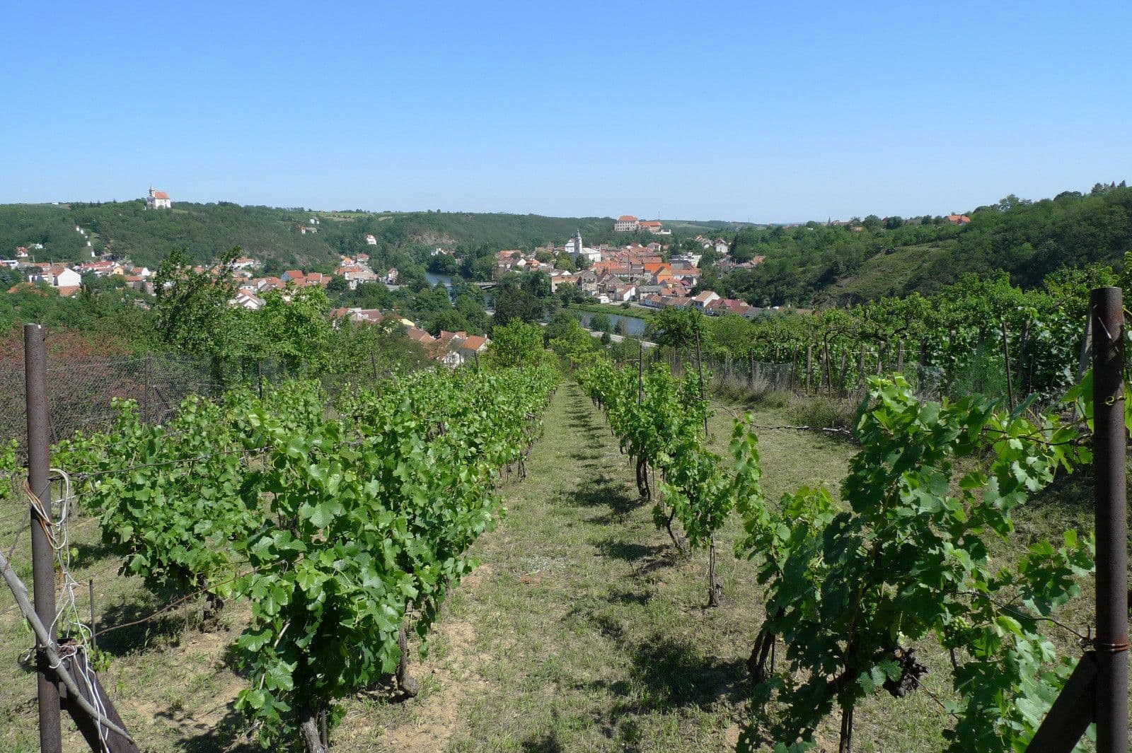 Predaj pozemku 3.055 m², Dolní Kounice, Jihomoravský kraj Predaj pozemku 3.055 m², Dolní Kounice, Jihomoravský kraj