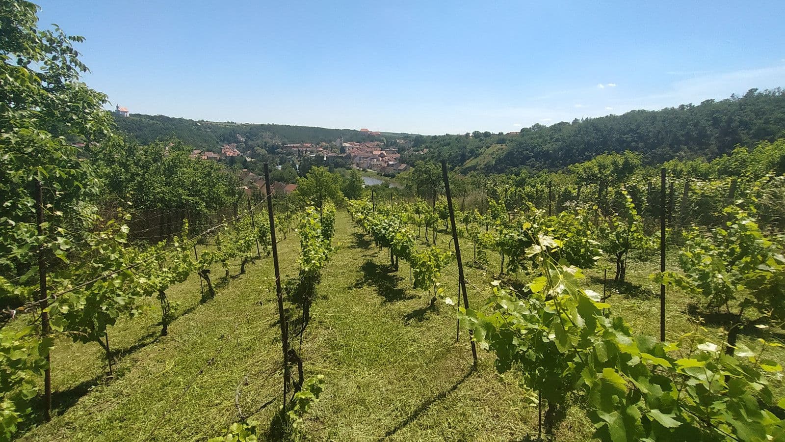 Predaj pozemku 3.055 m², Dolní Kounice, Jihomoravský kraj Predaj pozemku 3.055 m², Dolní Kounice, Jihomoravský kraj