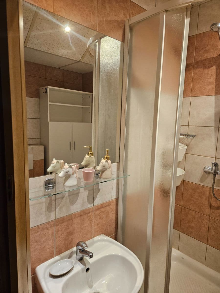 Prenájom bytu 1-izbový 30 m², Truhlářská, Praha, Praha Prenájom bytu 1-izbový 30 m², Truhlářská, Praha, Praha