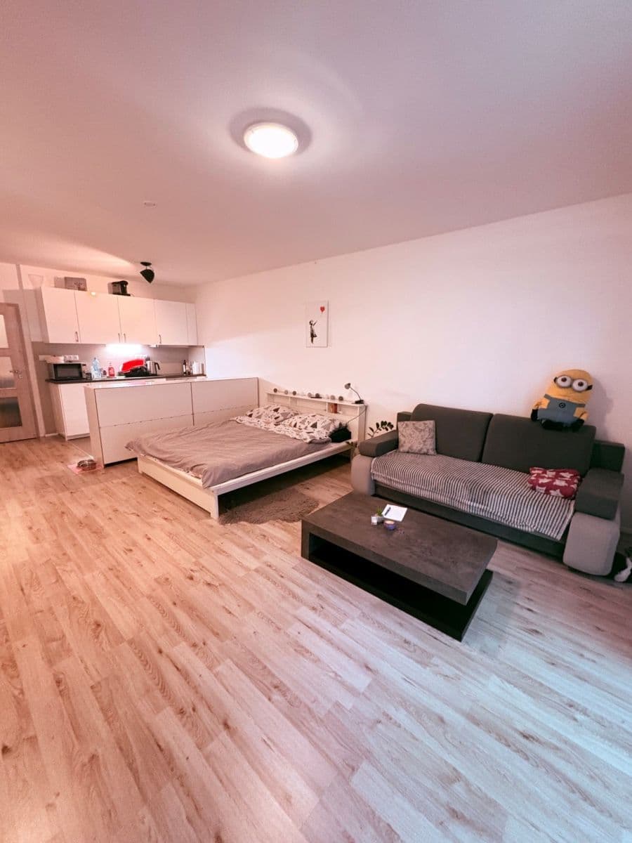 Prenájom bytu 1-izbový 46 m², Květoslava Mašity, Všenory, Středočeský kraj Prenájom bytu 1-izbový 46 m², Květoslava Mašity, Všenory, Středočeský kraj