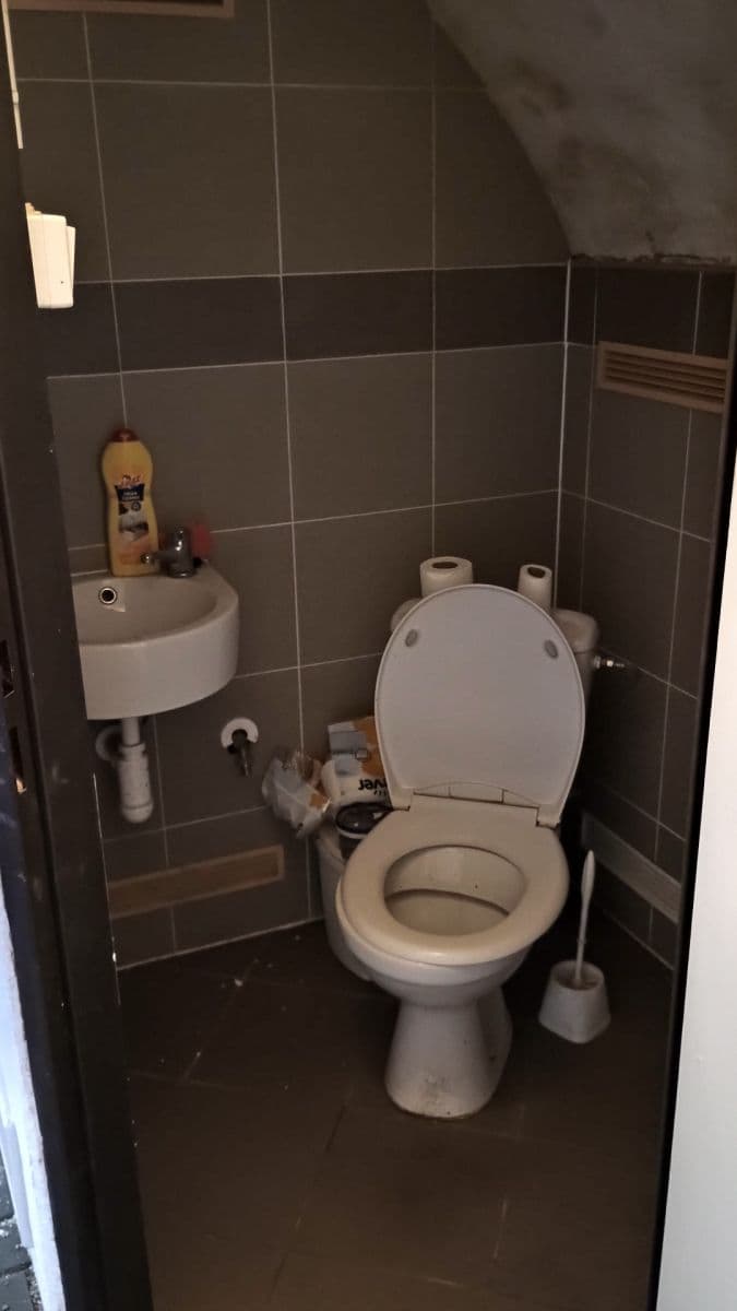 Prenájom nebytového priestoru 21 m², K Libuši, Praha, Praha Prenájom nebytového priestoru 21 m², K Libuši, Praha, Praha