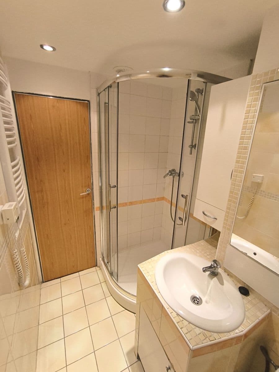 Prenájom bytu 1-izbový 38 m², Novoměstská, Brno, Jihomoravský kraj Prenájom bytu 1-izbový 38 m², Novoměstská, Brno, Jihomoravský kraj