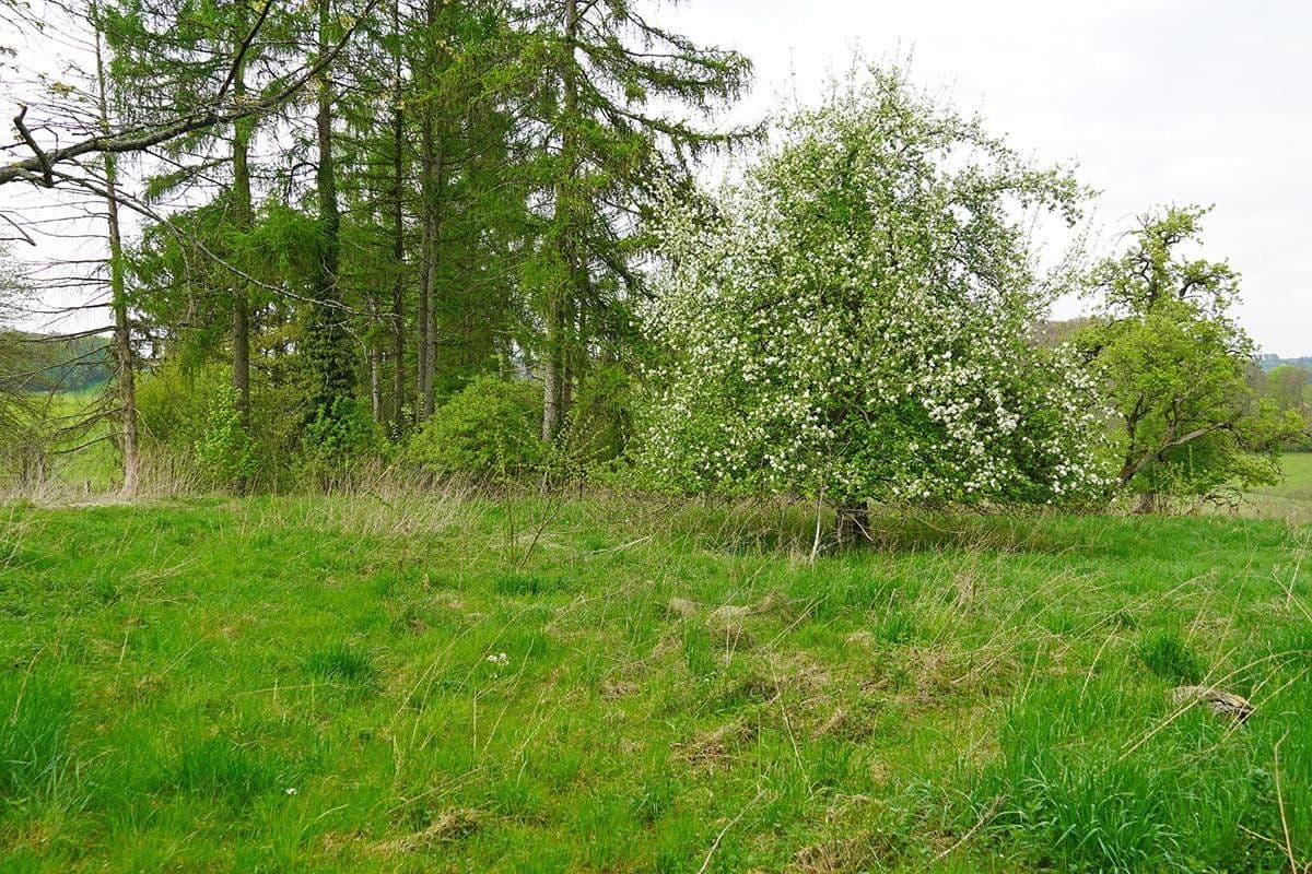 Predaj domu 171 m², pozemok 3.806 m², Untersteinbach 1, Bergisch Gladbach, Severné Porýnie - Westfálsko Predaj domu 171 m², pozemok 3.806 m², Untersteinbach 1, Bergisch Gladbach, Severné Porýnie - Westfálsko