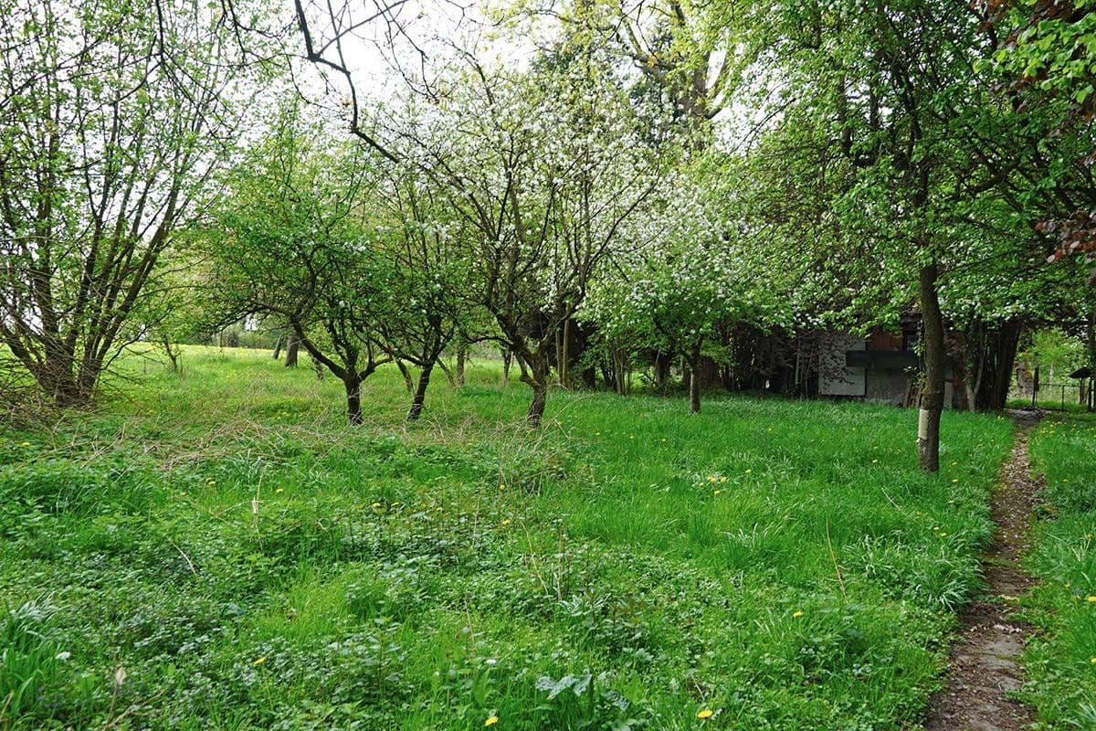 Predaj domu 171 m², pozemok 3.806 m², Untersteinbach 1, Bergisch Gladbach, Severné Porýnie - Westfálsko Predaj domu 171 m², pozemok 3.806 m², Untersteinbach 1, Bergisch Gladbach, Severné Porýnie - Westfálsko