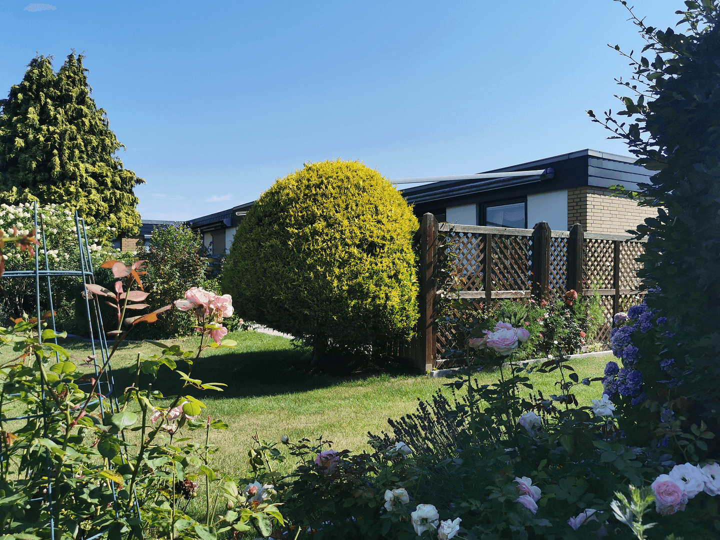 Predaj domu 99 m², pozemok 493 m², Hildesheim, Dolné Sasko Predaj domu 99 m², pozemok 493 m², Hildesheim, Dolné Sasko