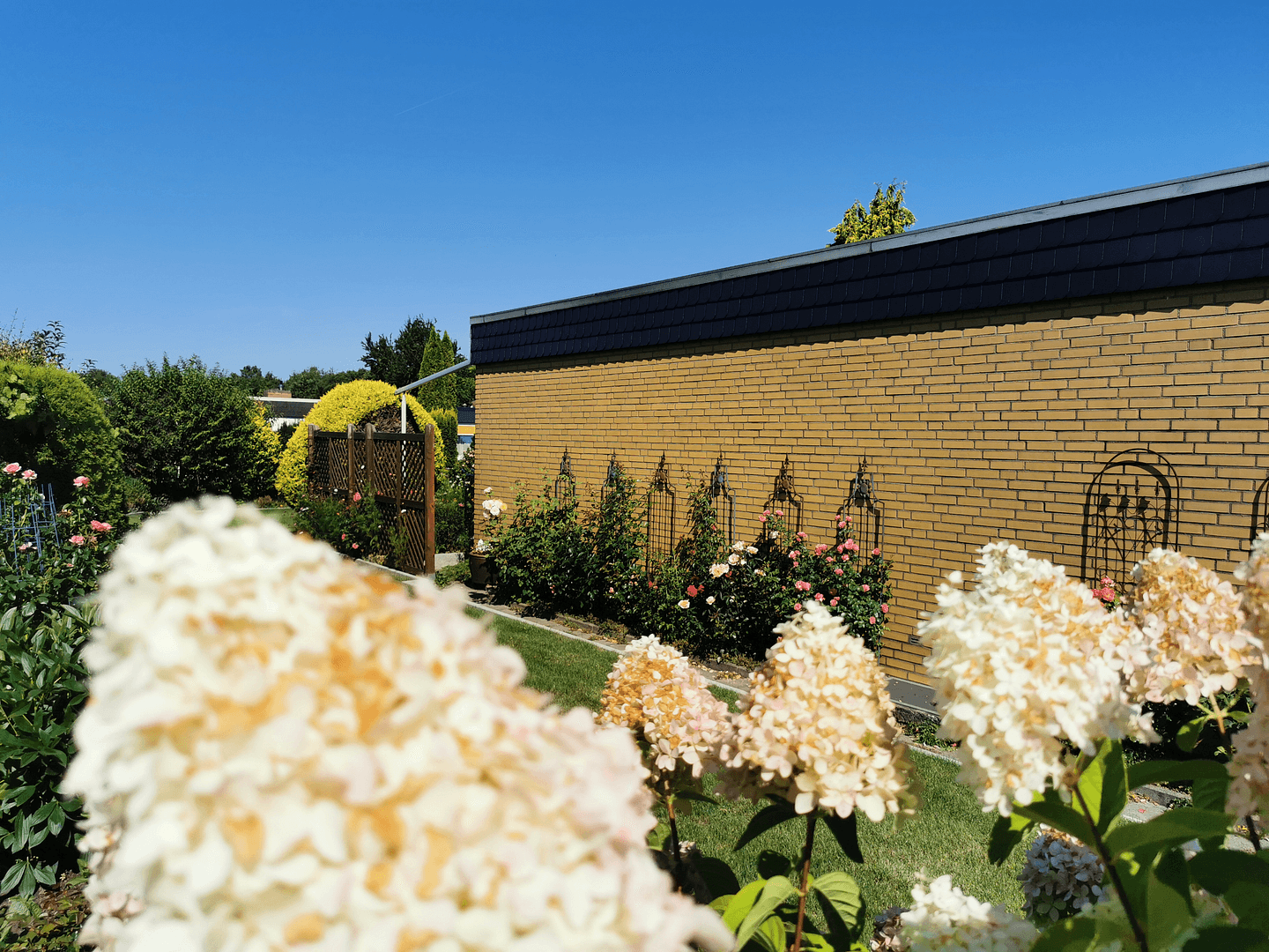 Predaj domu 99 m², pozemok 493 m², Hildesheim, Dolné Sasko Predaj domu 99 m², pozemok 493 m², Hildesheim, Dolné Sasko