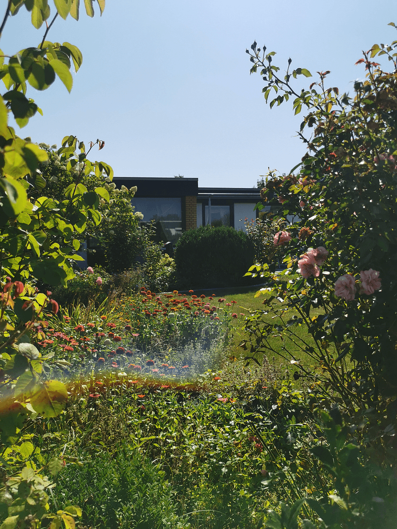 Predaj domu 99 m², pozemok 493 m², Hildesheim, Dolné Sasko Predaj domu 99 m², pozemok 493 m², Hildesheim, Dolné Sasko