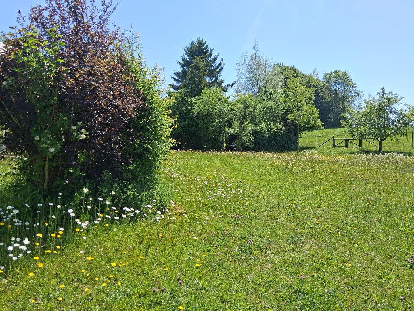 Predaj domu 262 m², pozemok 14.683 m², Rathausstraße 25, Bad Wurzach, Bádensko-Wurttembersko Predaj domu 262 m², pozemok 14.683 m², Rathausstraße 25, Bad Wurzach, Bádensko-Wurttembersko