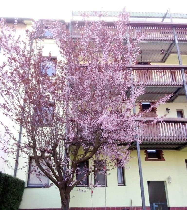 Predaj bytu 2-izbový 47 m², Thumenberger Weg 3, Nürnberg, Bavorsko Predaj bytu 2-izbový 47 m², Thumenberger Weg 3, Nürnberg, Bavorsko