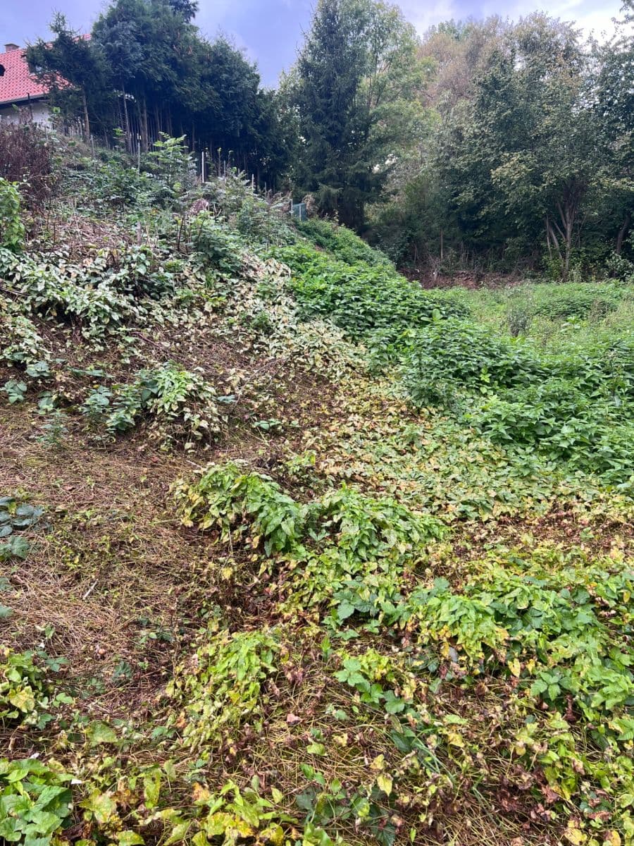 Predaj pozemku 360 m², Stříbrná Skalice, Středočeský kraj Predaj pozemku 360 m², Stříbrná Skalice, Středočeský kraj