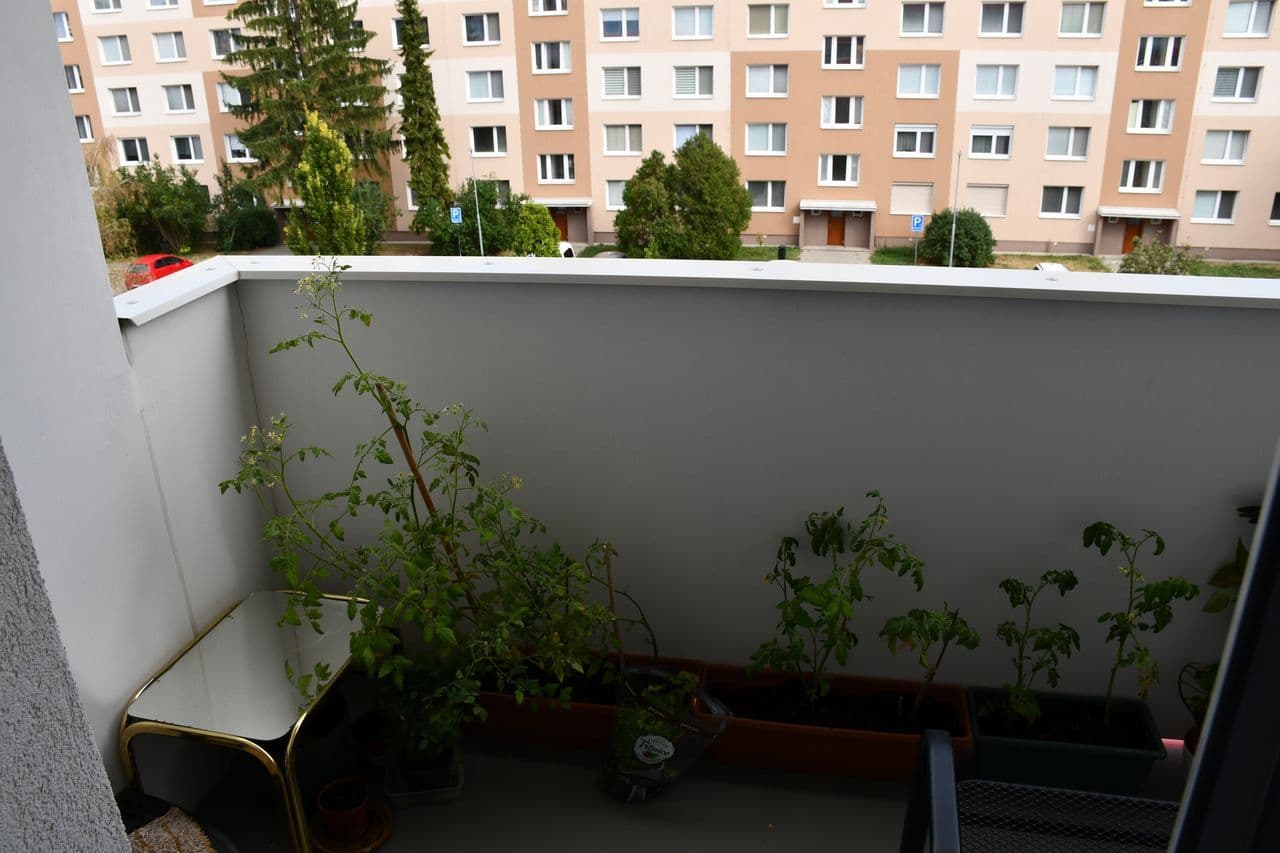 Predaj bytu 2-izbový 54 m², Slovácká, Břeclav, Jihomoravský kraj Predaj bytu 2-izbový 54 m², Slovácká, Břeclav, Jihomoravský kraj