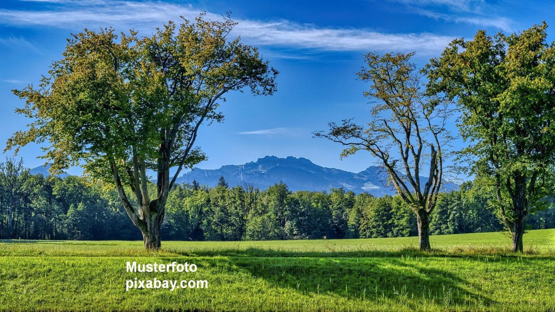 Predaj domu 140 m², pozemok 903 m², Bernau am Chiemsee, Bavorsko Predaj domu 140 m², pozemok 903 m², Bernau am Chiemsee, Bavorsko