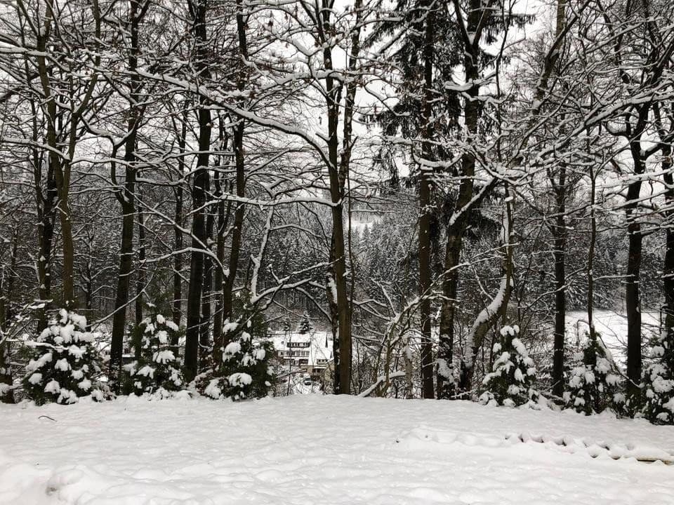 Predaj domu 200 m², pozemok 1.300 m², Bad Grund, Dolné Sasko Predaj domu 200 m², pozemok 1.300 m², Bad Grund, Dolné Sasko