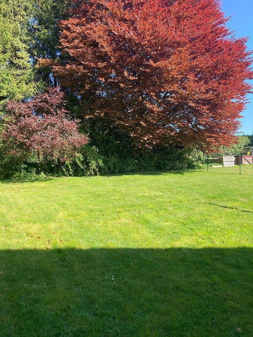 Predaj domu 118 m², pozemok 800 m², Wermelskirchen, Severné Porýnie - Westfálsko Predaj domu 118 m², pozemok 800 m², Wermelskirchen, Severné Porýnie - Westfálsko