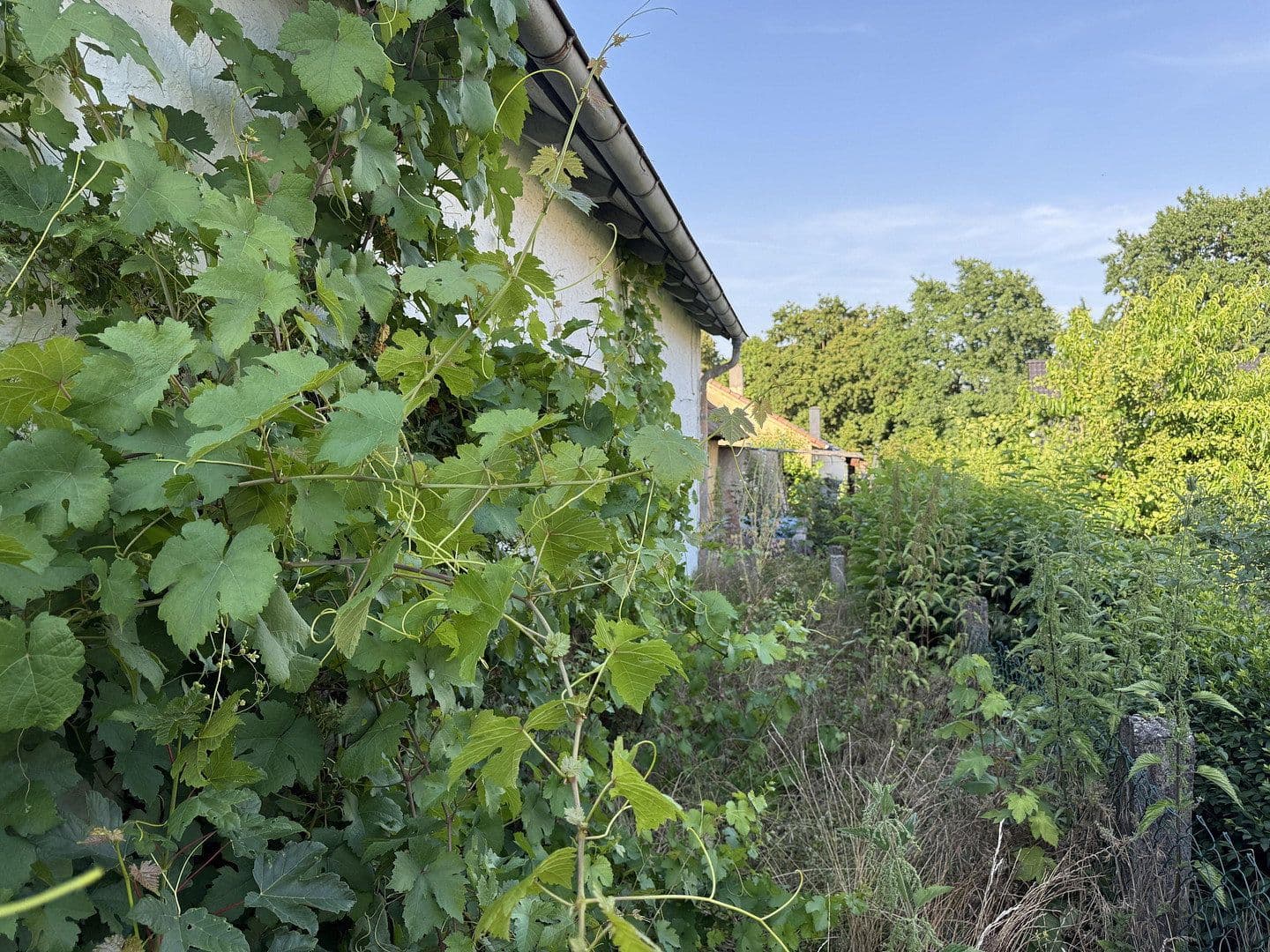 Predaj domu 60 m², pozemok 250 m², Bad Rappenau, Bádensko-Wurttembersko Predaj domu 60 m², pozemok 250 m², Bad Rappenau, Bádensko-Wurttembersko
