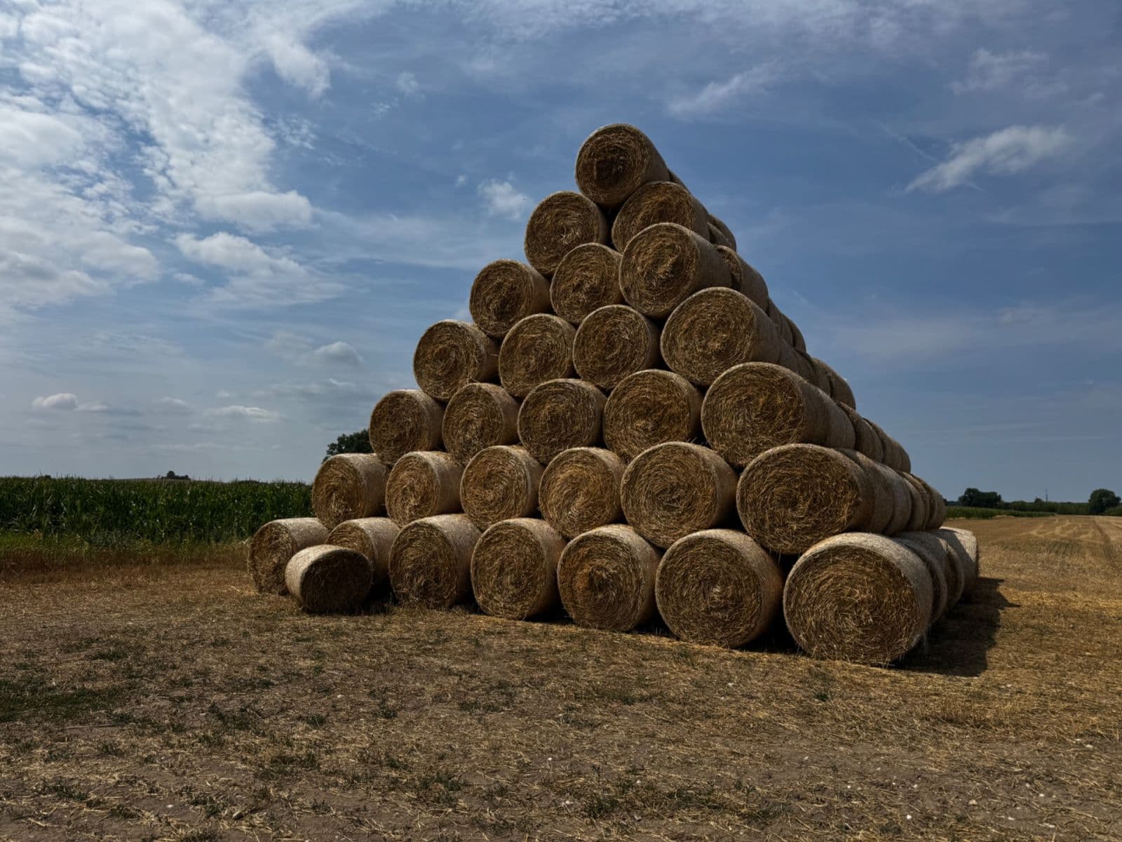 Predaj pozemku 83.000 m², Pardubická, Choteč, Pardubický kraj Predaj pozemku 83.000 m², Pardubická, Choteč, Pardubický kraj