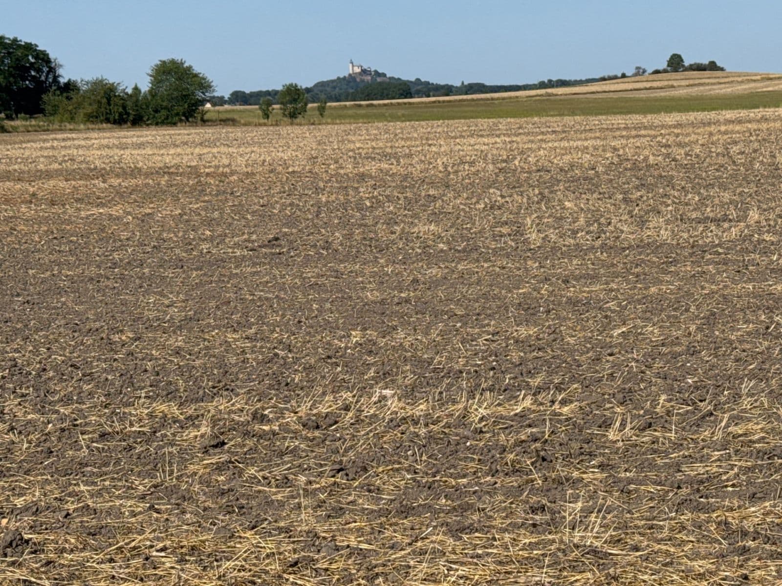 Predaj pozemku 32.000 m², Pardubická, Choteč, Pardubický kraj Predaj pozemku 32.000 m², Pardubická, Choteč, Pardubický kraj