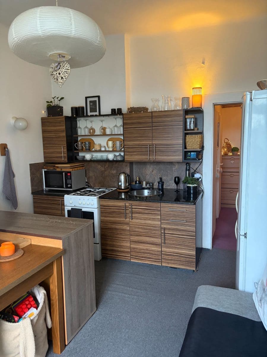 Prenájom bytu 1-izbový 50 m², Vodova, Brno, Jihomoravský kraj Prenájom bytu 1-izbový 50 m², Vodova, Brno, Jihomoravský kraj