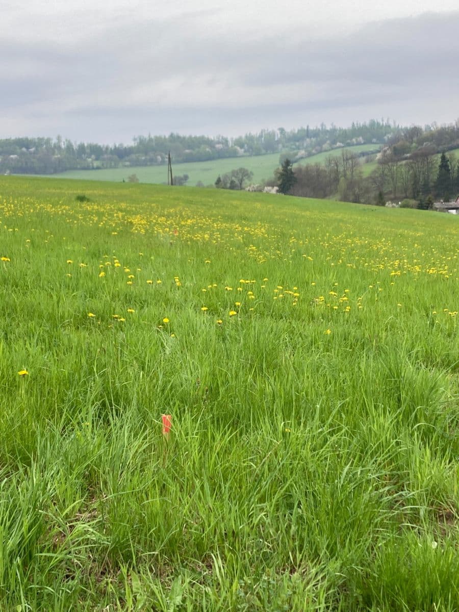 Predaj pozemku 2.000 m², Čaková, Moravskoslezský kraj Predaj pozemku 2.000 m², Čaková, Moravskoslezský kraj