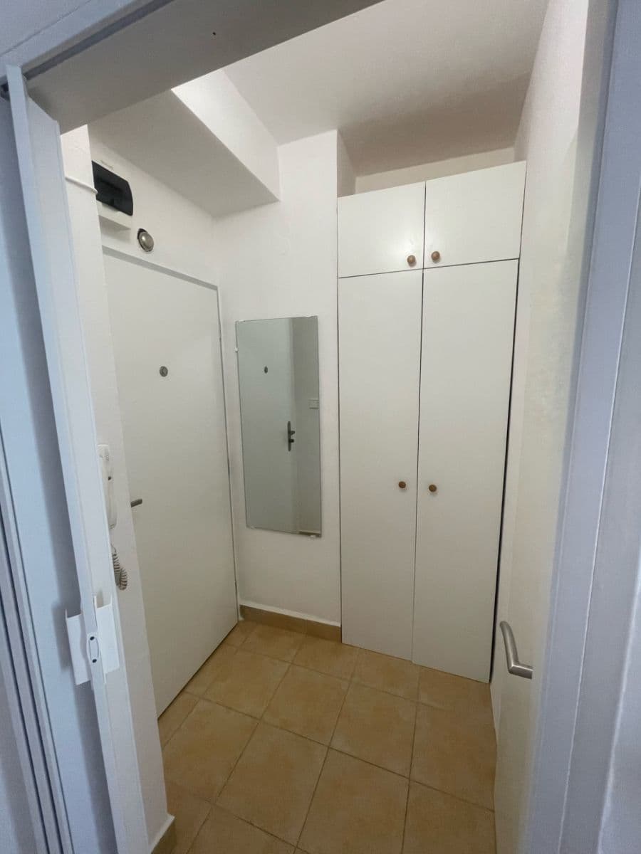 Prenájom bytu 1-izbový 27 m², Dřevařská, Brno, Jihomoravský kraj Prenájom bytu 1-izbový 27 m², Dřevařská, Brno, Jihomoravský kraj