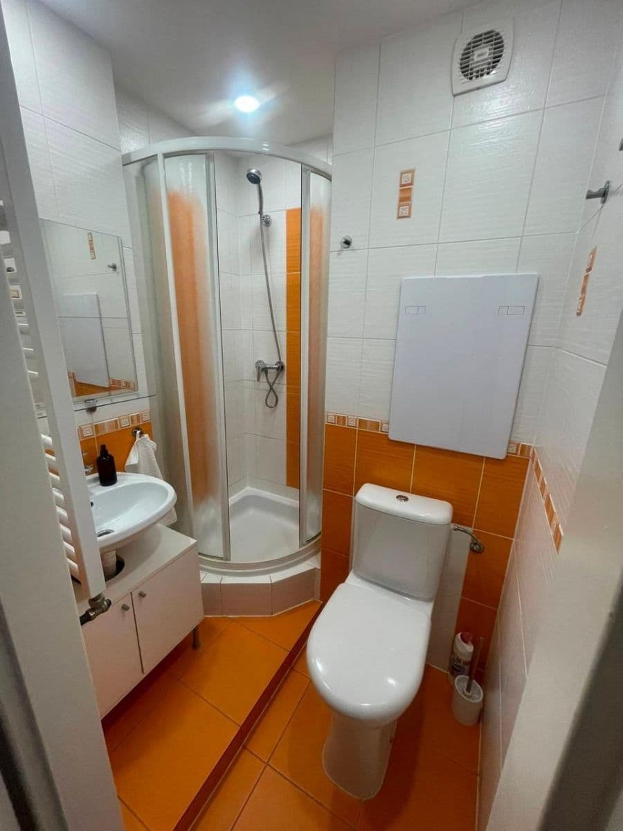 Prenájom bytu 1-izbový 27 m², Dřevařská, Brno, Jihomoravský kraj Prenájom bytu 1-izbový 27 m², Dřevařská, Brno, Jihomoravský kraj