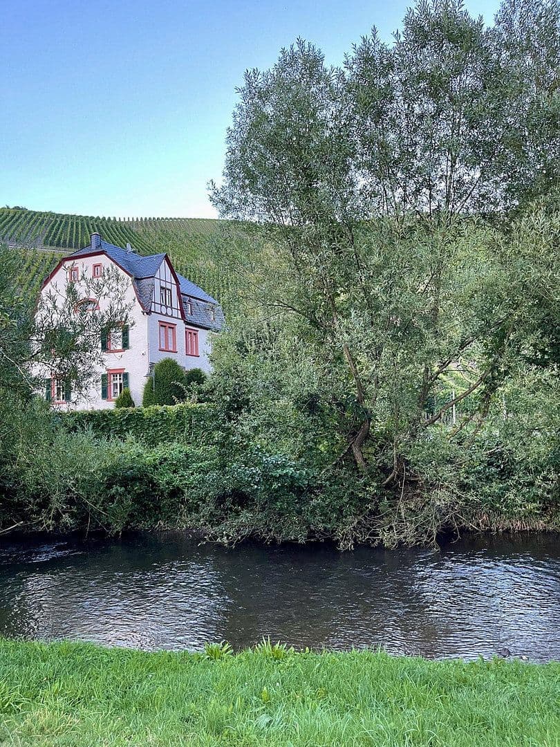 Predaj domu 226 m², pozemok 3.169 m², Neumagen-Dhron, Porýnie-Falcko Predaj domu 226 m², pozemok 3.169 m², Neumagen-Dhron, Porýnie-Falcko