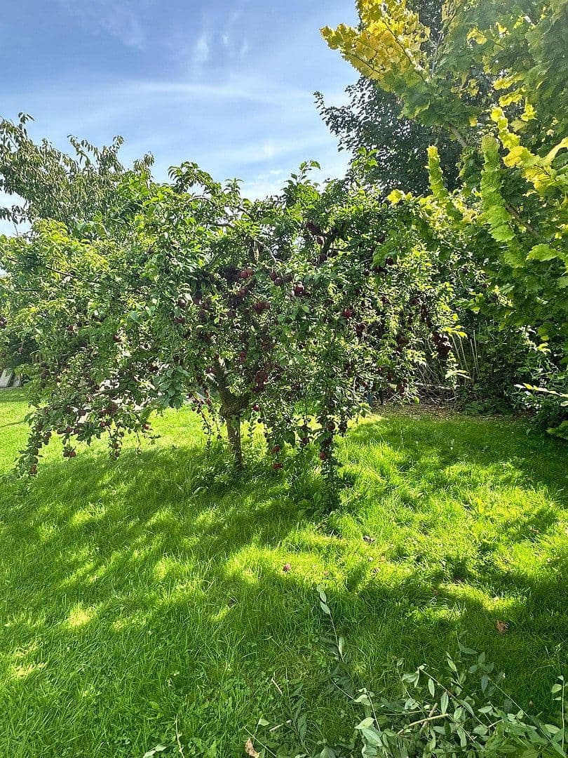 Predaj domu 116 m², pozemok 589 m², Hedwigenkoog, Šlezvicko-Holštajnsko Predaj domu 116 m², pozemok 589 m², Hedwigenkoog, Šlezvicko-Holštajnsko
