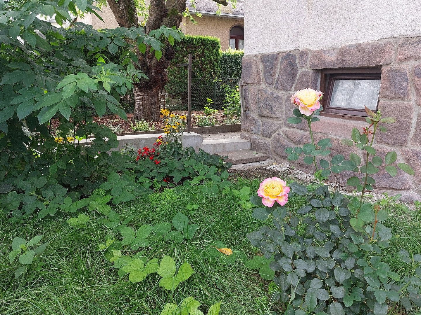 Predaj domu 247 m², pozemok 710 m², Mühlau, Sasko Predaj domu 247 m², pozemok 710 m², Mühlau, Sasko