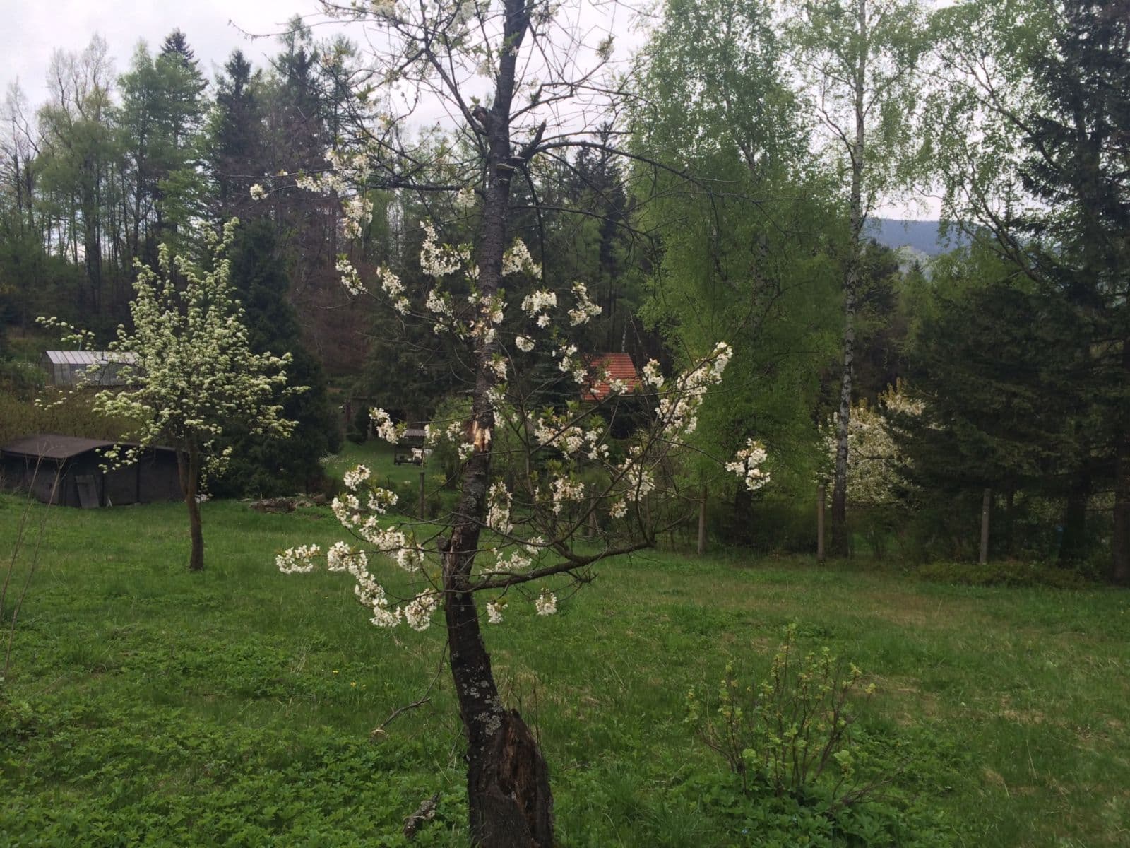 Prenájom rekreačného objektu 40 m², pozemok 2.144 m², Čeladná, Moravskoslezský kraj Prenájom rekreačného objektu 40 m², pozemok 2.144 m², Čeladná, Moravskoslezský kraj