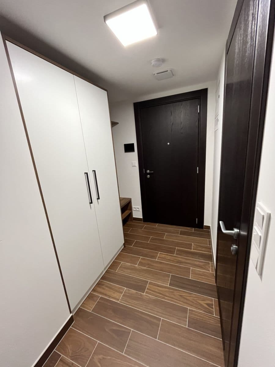 Prenájom bytu 1-izbový 33 m², Třída Jiřího Pelikána, Olomouc, Olomoucký kraj Prenájom bytu 1-izbový 33 m², Třída Jiřího Pelikána, Olomouc, Olomoucký kraj