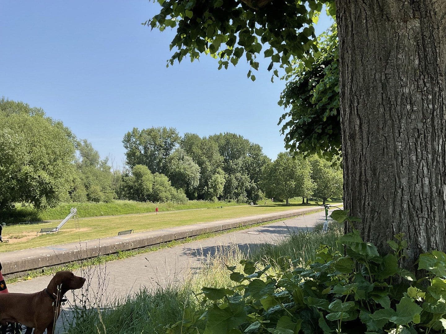 Prenájom bytu 1-izbový 80 m², Uferstraße 29, Köln, Severné Porýnie - Westfálsko Prenájom bytu 1-izbový 80 m², Uferstraße 29, Köln, Severné Porýnie - Westfálsko