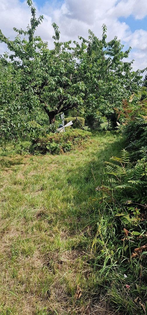 Predaj domu 145 m², pozemok 1.068 m², Bad Sachsa, Dolné Sasko Predaj domu 145 m², pozemok 1.068 m², Bad Sachsa, Dolné Sasko