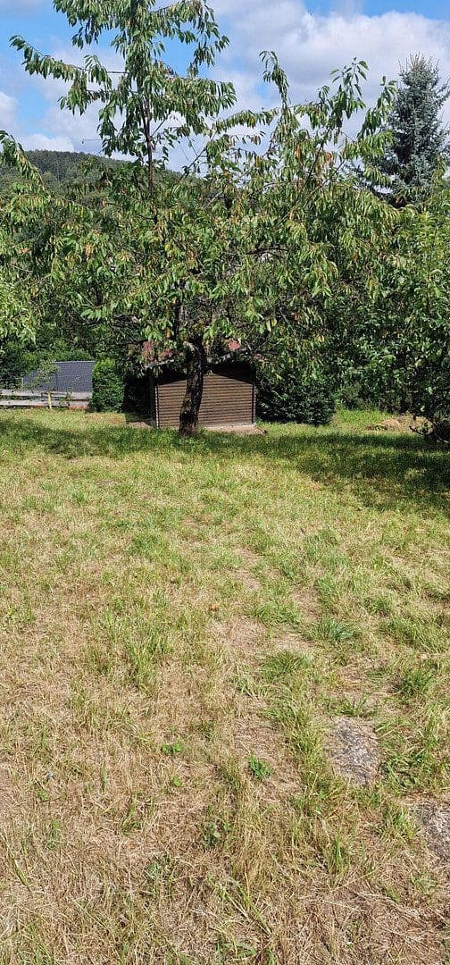 Predaj domu 145 m², pozemok 1.068 m², Bad Sachsa, Dolné Sasko Predaj domu 145 m², pozemok 1.068 m², Bad Sachsa, Dolné Sasko