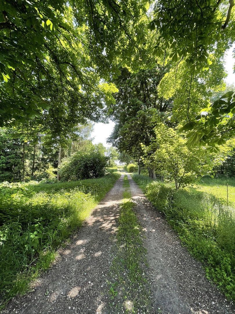 Predaj domu 145 m², pozemok 2.000 m², Beetzendorf, Sasko-Anhaltsko Predaj domu 145 m², pozemok 2.000 m², Beetzendorf, Sasko-Anhaltsko