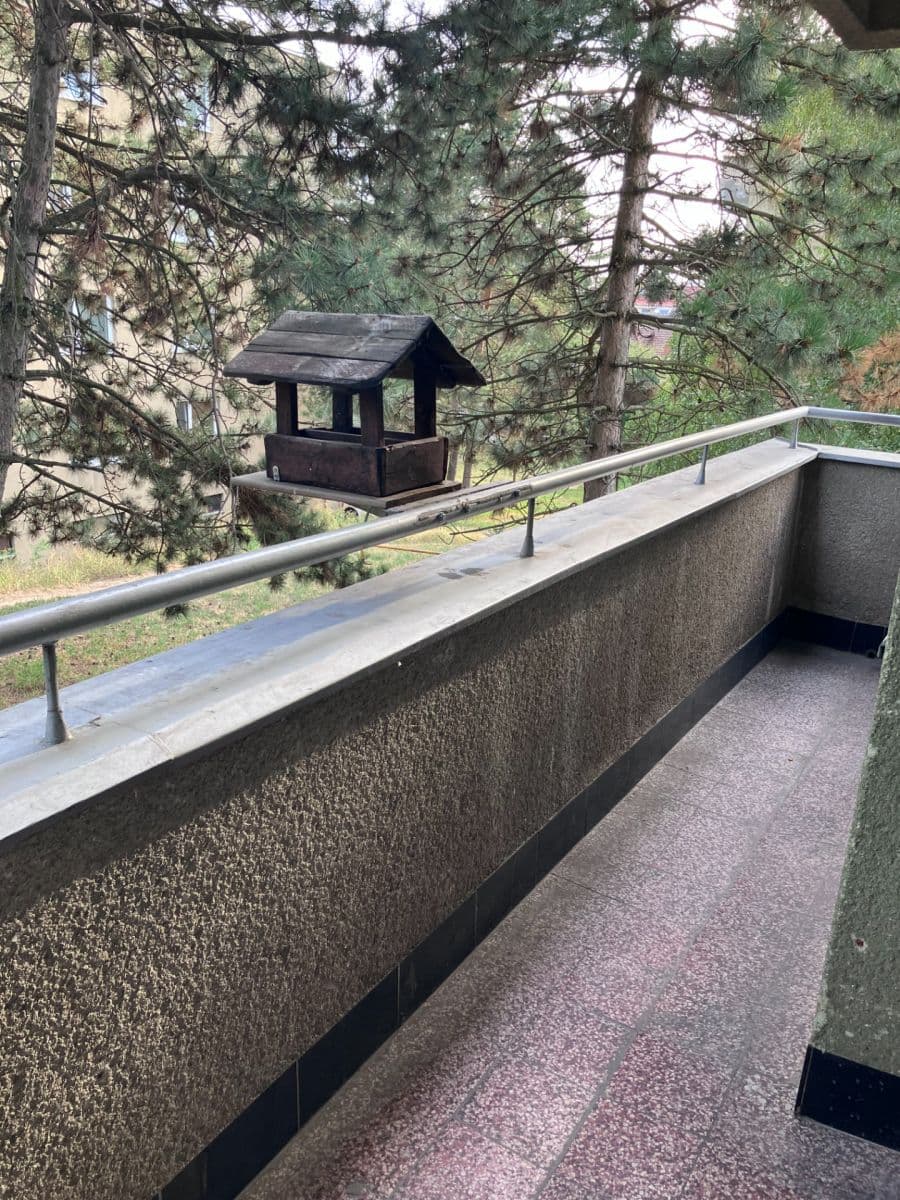 Prenájom bytu 2-izbový 54 m², Došlíkova, Brno, Jihomoravský kraj Prenájom bytu 2-izbový 54 m², Došlíkova, Brno, Jihomoravský kraj