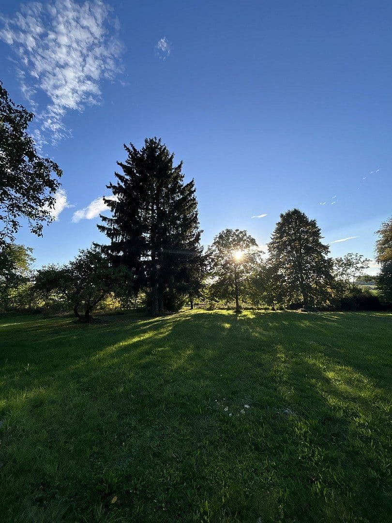 Predaj domu 204 m², pozemok 5.500 m², Weinbergstraße 5, Schönau, Bavorsko Predaj domu 204 m², pozemok 5.500 m², Weinbergstraße 5, Schönau, Bavorsko
