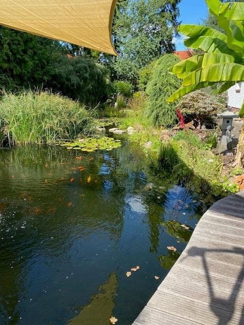 Predaj domu 142 m², pozemok 1.004 m², Celle, Dolné Sasko Predaj domu 142 m², pozemok 1.004 m², Celle, Dolné Sasko