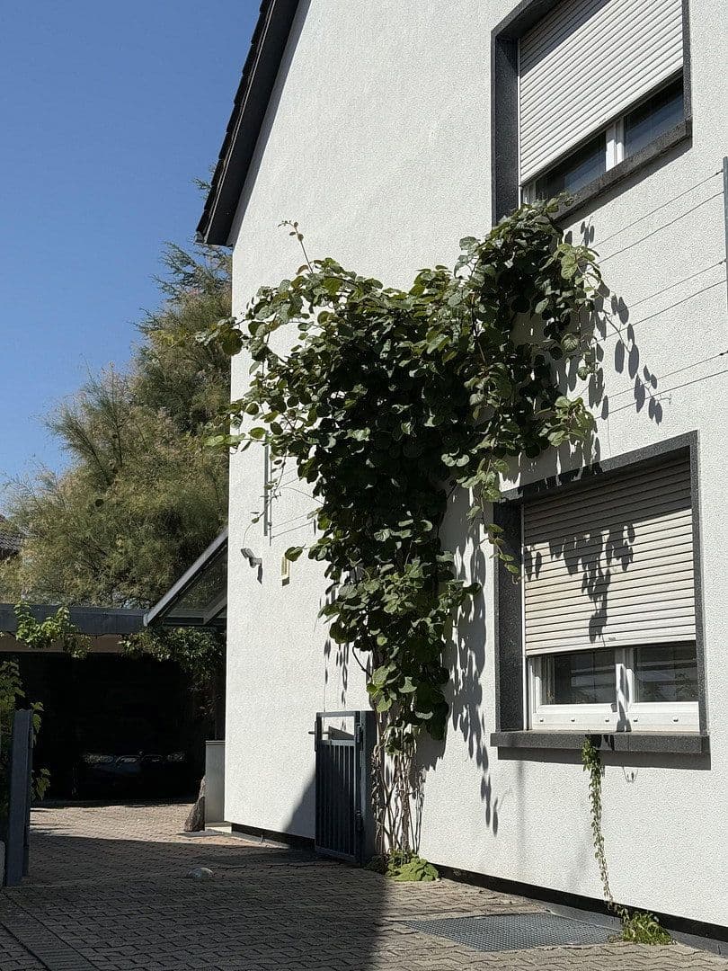 Predaj domu 340 m², pozemok 973 m², Rheinzabern, Porýnie-Falcko Predaj domu 340 m², pozemok 973 m², Rheinzabern, Porýnie-Falcko