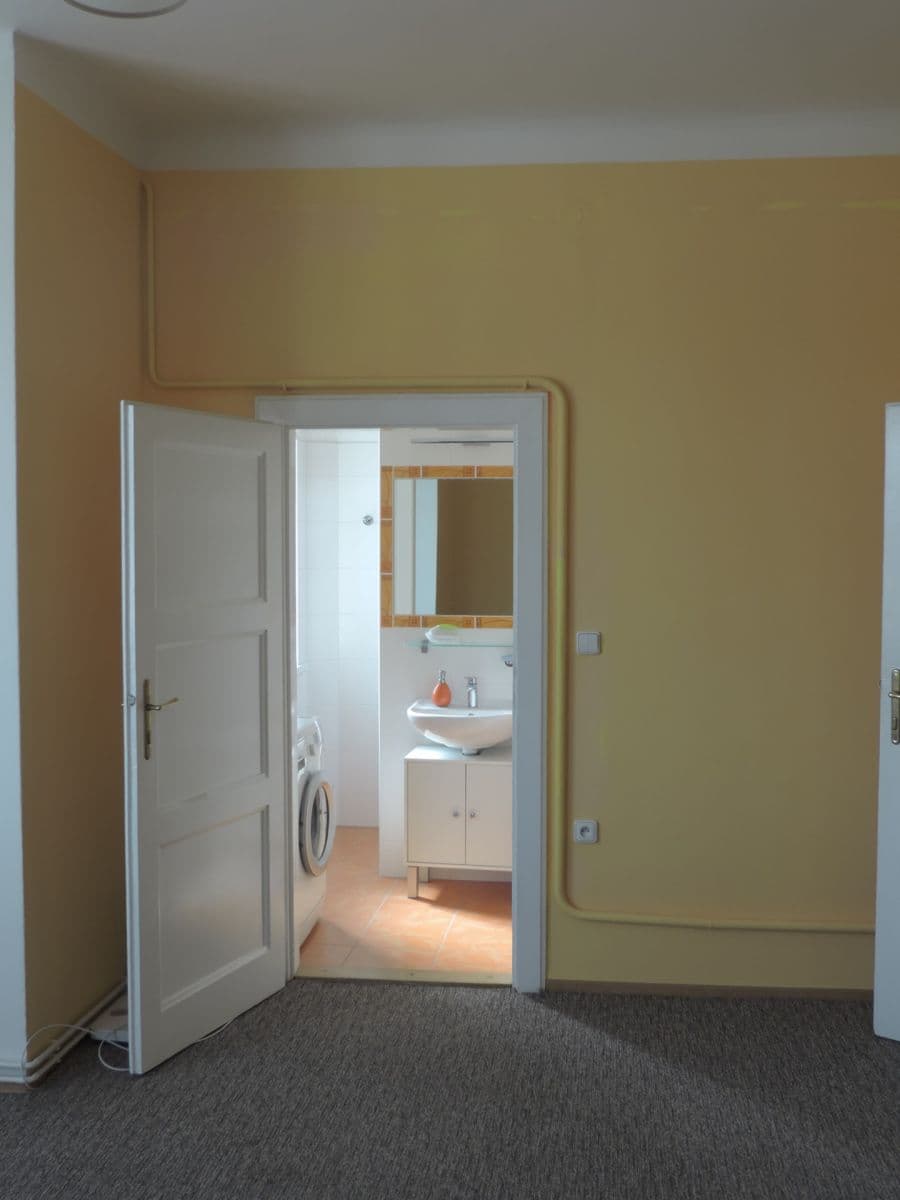 Prenájom bytu 1-izbový 53 m², Těsnohlídkova, Brno, Jihomoravský kraj Prenájom bytu 1-izbový 53 m², Těsnohlídkova, Brno, Jihomoravský kraj