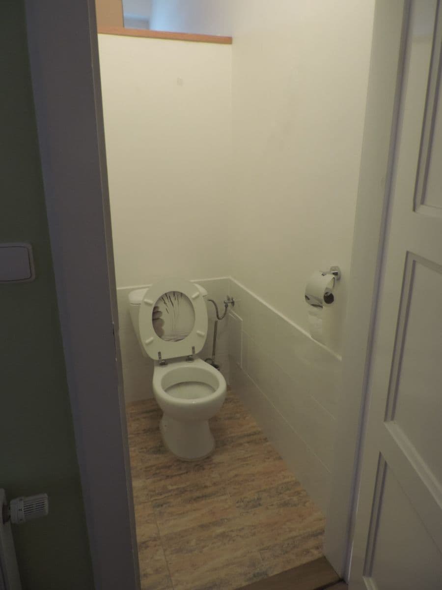 Prenájom bytu 1-izbový 53 m², Těsnohlídkova, Brno, Jihomoravský kraj Prenájom bytu 1-izbový 53 m², Těsnohlídkova, Brno, Jihomoravský kraj