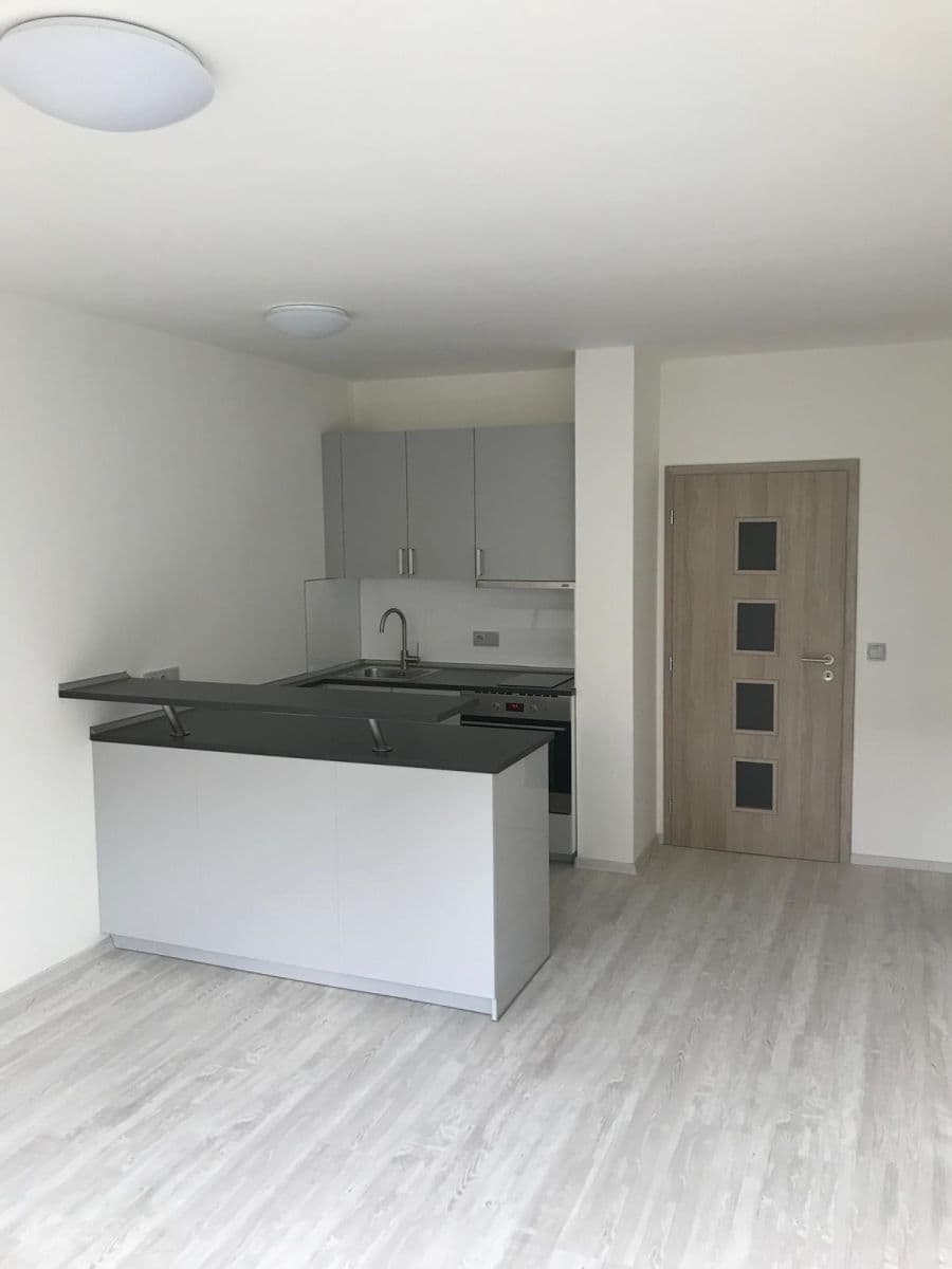 Prenájom bytu 1-izbový 31 m², Voskovcova, Praha, Praha Prenájom bytu 1-izbový 31 m², Voskovcova, Praha, Praha
