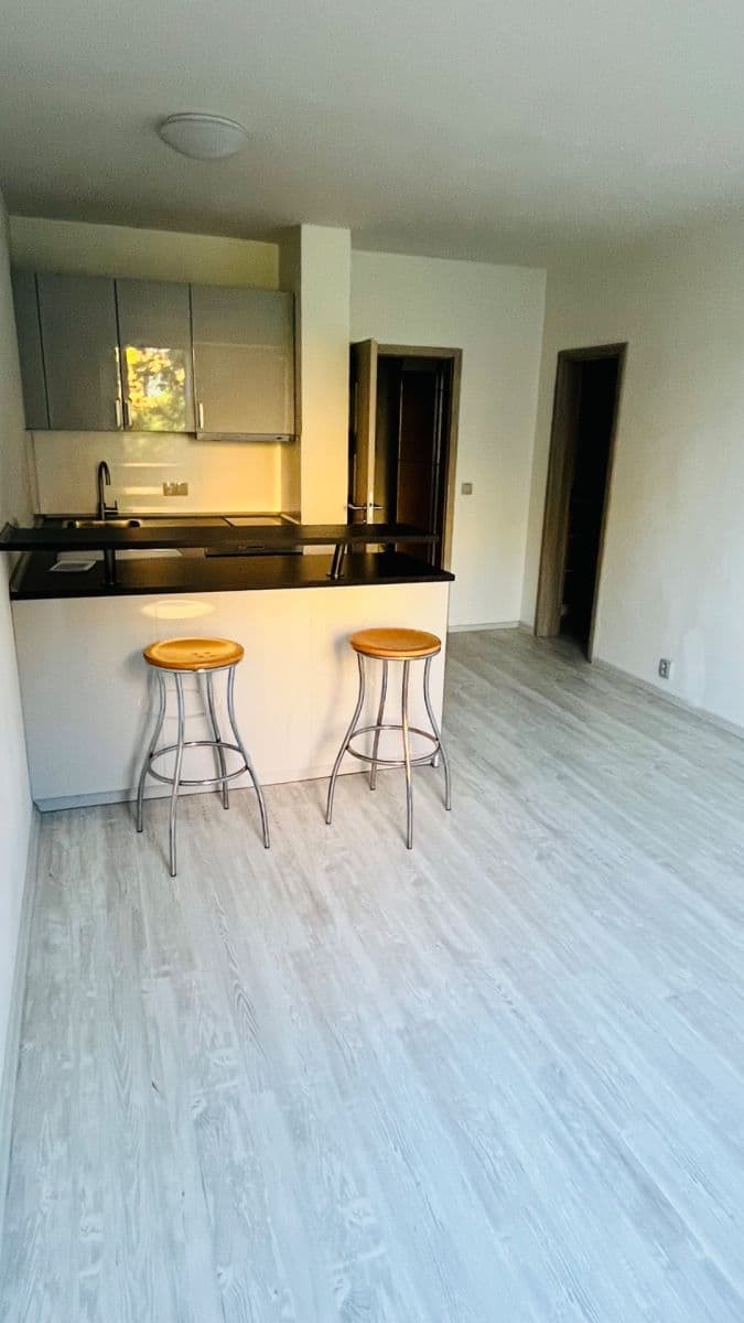 Prenájom bytu 1-izbový 31 m², Voskovcova, Praha, Praha Prenájom bytu 1-izbový 31 m², Voskovcova, Praha, Praha