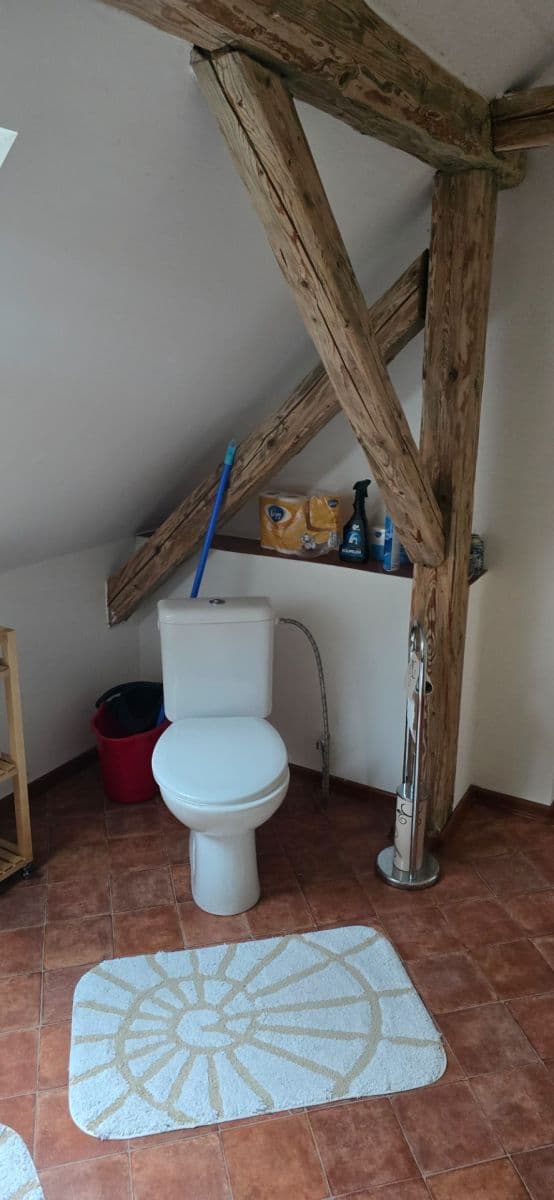 Predaj domu 180 m², pozemok 6.500 m², Žihle, Plzeňský kraj Predaj domu 180 m², pozemok 6.500 m², Žihle, Plzeňský kraj