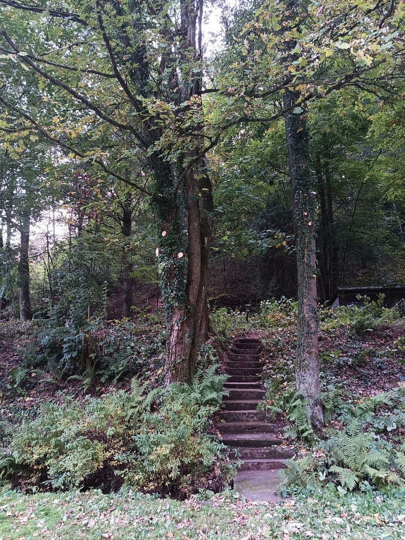 Predaj domu 180 m², pozemok 3.848 m², Wolfskehle 52, Kulmbach, Bavorsko Predaj domu 180 m², pozemok 3.848 m², Wolfskehle 52, Kulmbach, Bavorsko